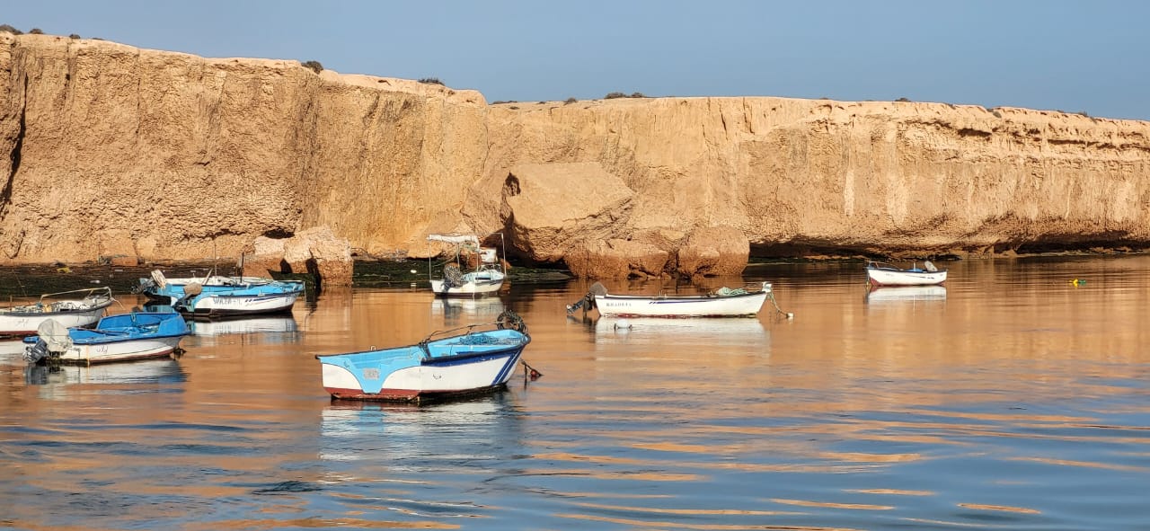 Oasis Gabès